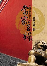 当家主妇长篇