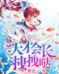天才下一句是什么