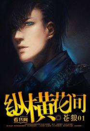 纵横花间全集