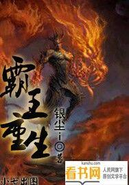 霸王重生航海篇