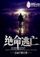 绝命逃亡国语版在线观看