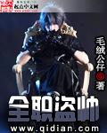 全职pi
