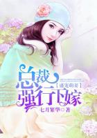 盛宠小萌妻总裁晚上见