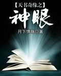 天书奇缘之神眼刘小骨