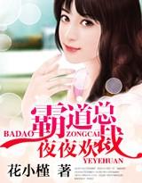 霸道总裁夜夜欢片子