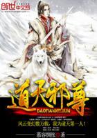 邪道至尊主角几个老婆