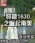 穿越1630之崛起南美精校