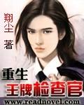 重生王牌检查官