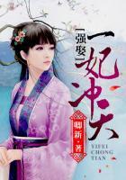 强娶一妃冲天第二卷