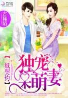 一纸宠婚神秘甜宠