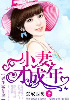 恶少私宠小甜妻