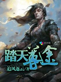 踏天仙尊