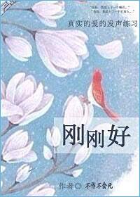 刚刚好歌曲表达什么意思