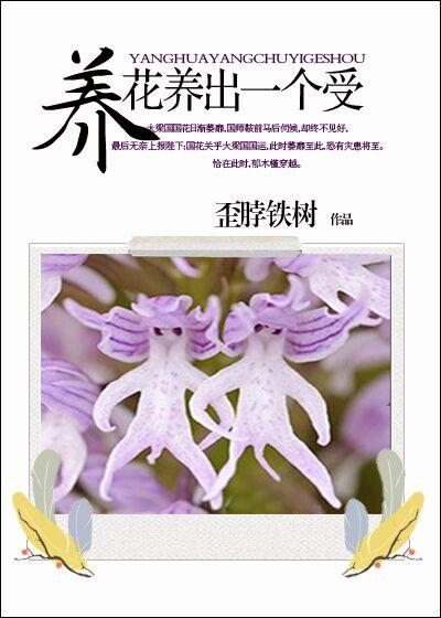 我家王妃是逗比全文免费阅读在线
