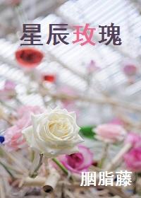 星辰玫瑰陨石项链怎么鉴别真伪