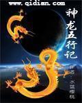 五行龙神图片