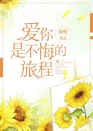爱你是不悔的旅程双洁吗