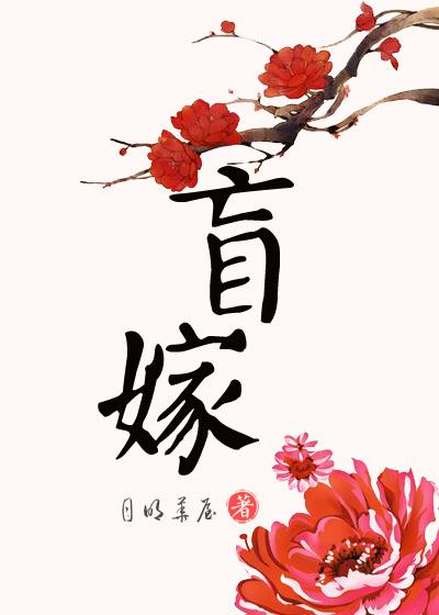盲嫁落叶
