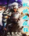 蚁贼全本