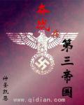奋战在第三帝国txt百度全文