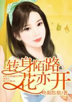 转身与陌路的意思