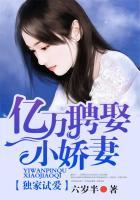 独家试婚by莫如归