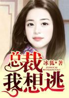 总裁我不逃