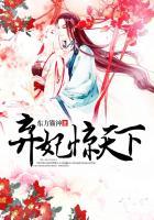 弃妃惊华