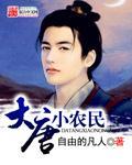 大唐之神级小农民