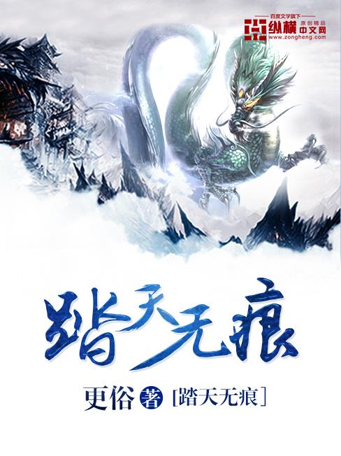 踏天无痕(更俗)全文免费阅读