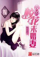 我的校花未婚妻秦晓叶番外