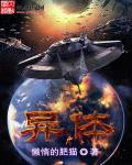 异体巩膜是什么材质