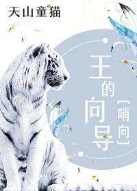 王向导的爷爷