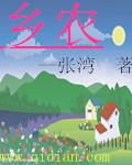 乡农电所是什么单位性质