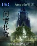 问情第五集