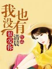 你也没有爱过我是什么歌
