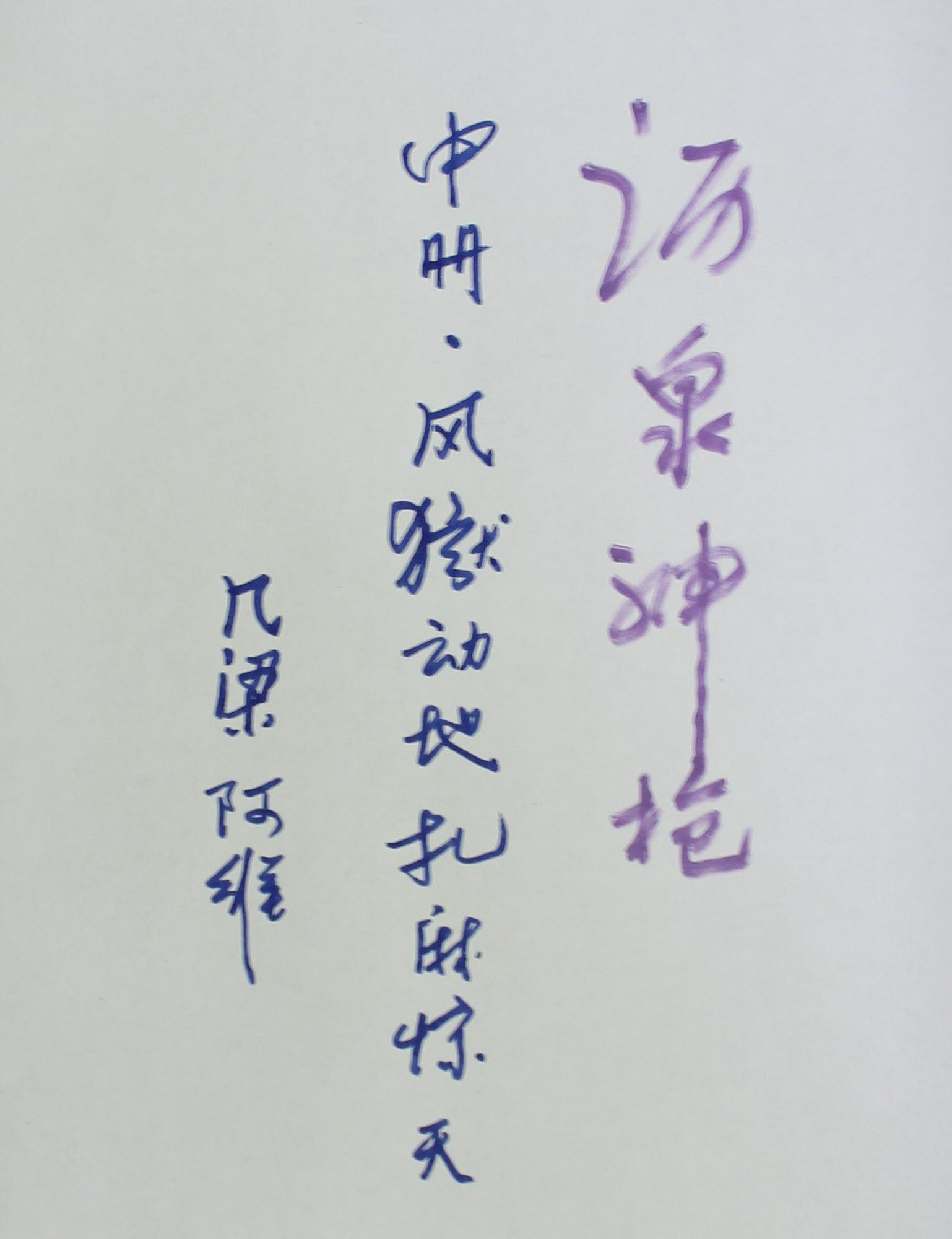 沥泉枪图片