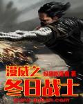 漫威冬日战士有几个