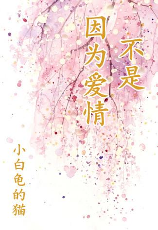 歌词 不是因为爱