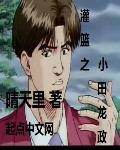 小田龙政NBA原型