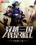 主角穿越三国成为张辽