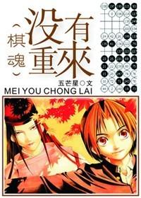 棋魂没有重来番外
