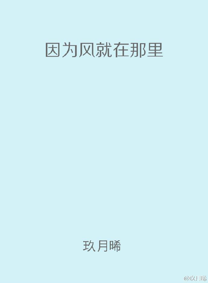 因为风就在那里贴吧