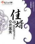 佳婿上榜演员表