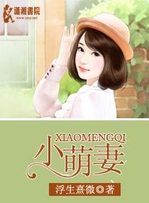 顾总的天降小萌妻