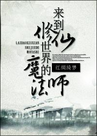 来到修仙世界的魔法师 红绸绮梦