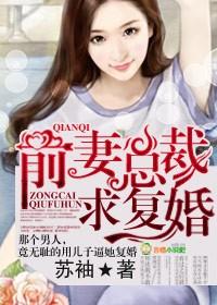 总裁求复婚免费阅读