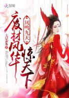 凤鸣九天打一肖