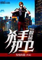 极品杀手txt