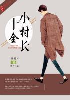 十全小村长免费